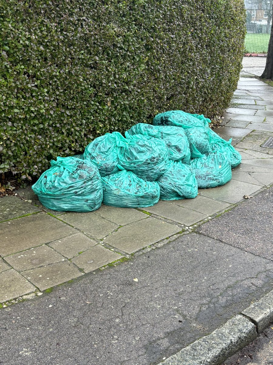 Jlestrange83's tweet photo. @EnfieldCouncil we have had great sweeper come down our road and the pathways are fully clear of all the leaves, the guy has done a great job.  All the bags have been left on the corner of College Road / College Gardens but no one has come to collect them. https://t.co/bHfr58W9Cl