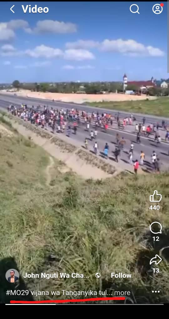 Nyamandenge Magufuli tweet media