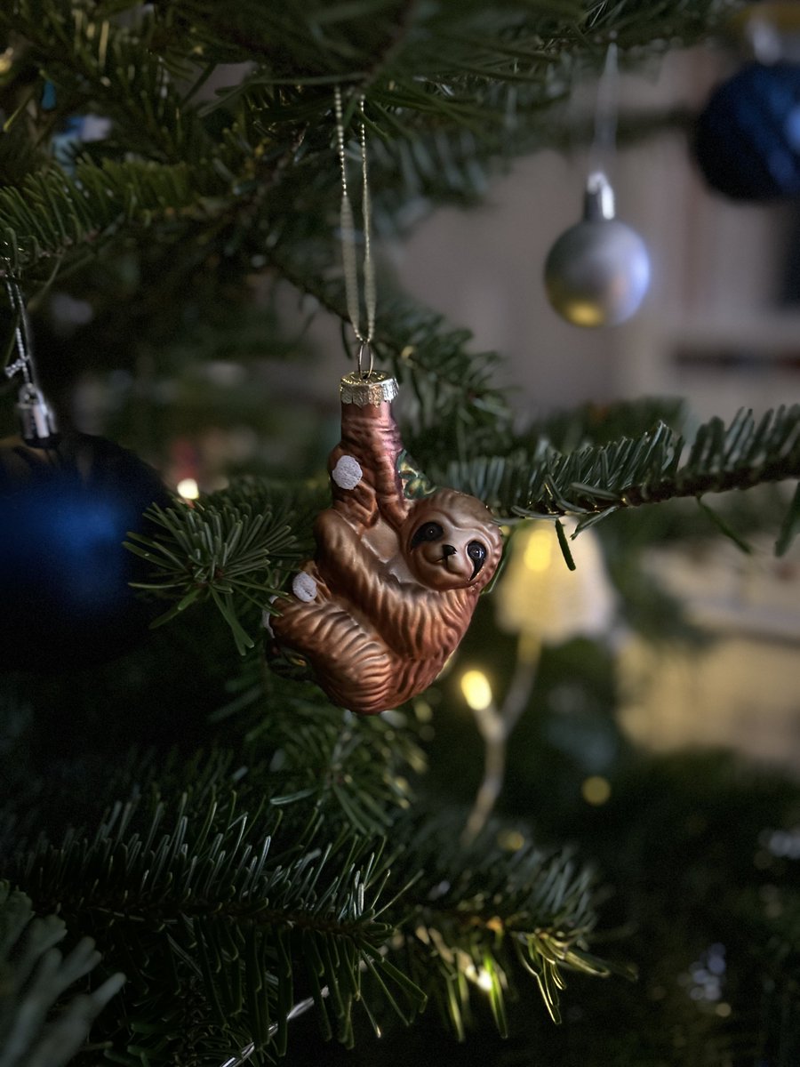 Naše nová speciální ozdoba má své místo na stromečku 🩵