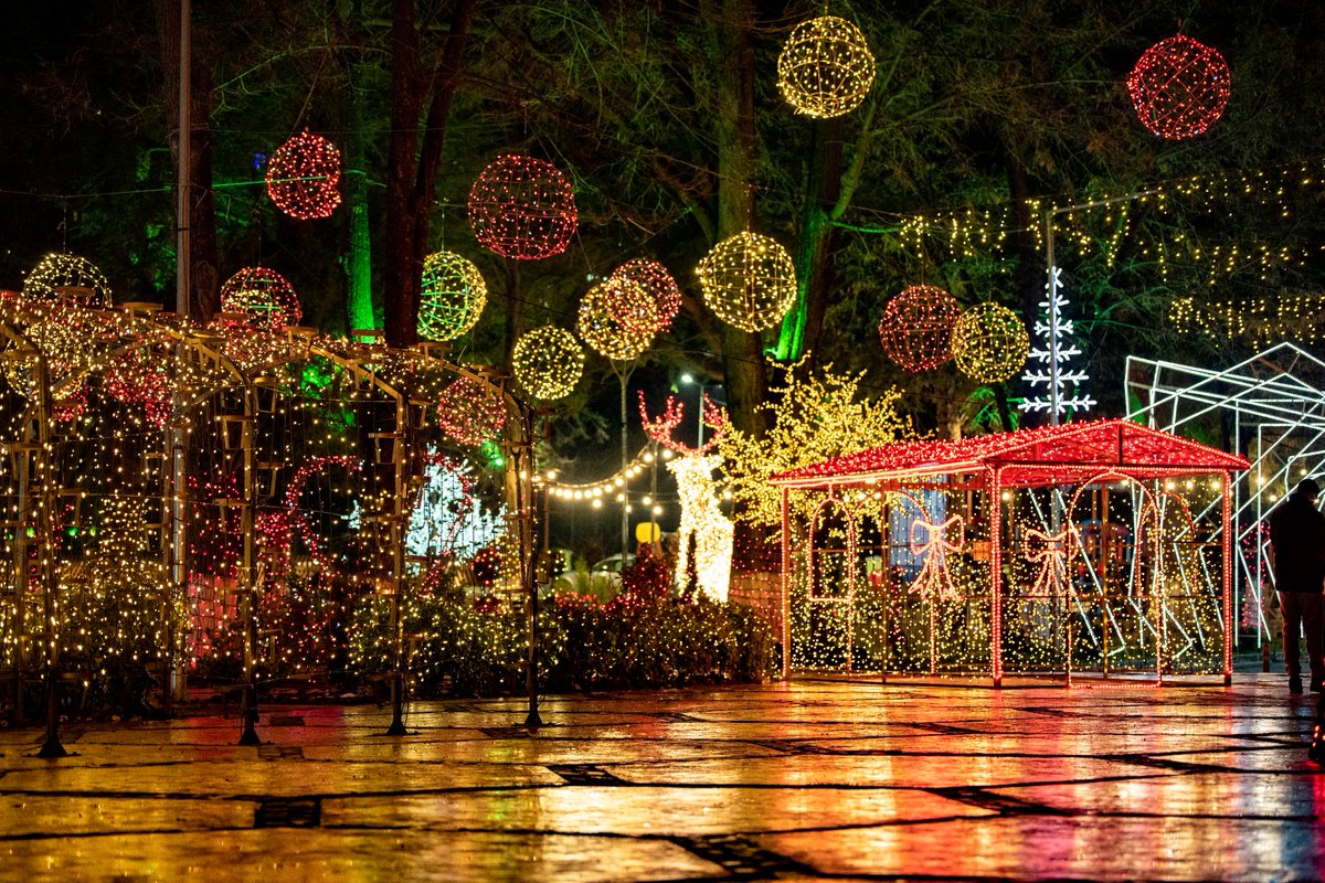 Како ја украсиле Паланка, само уште на кравите не ставиле сијалички.