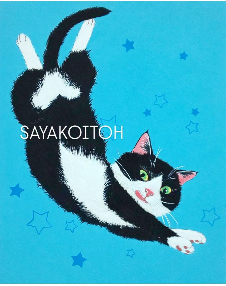 伊藤清子🌟 Sayako Itoh (@sayako1111) / Posts / X