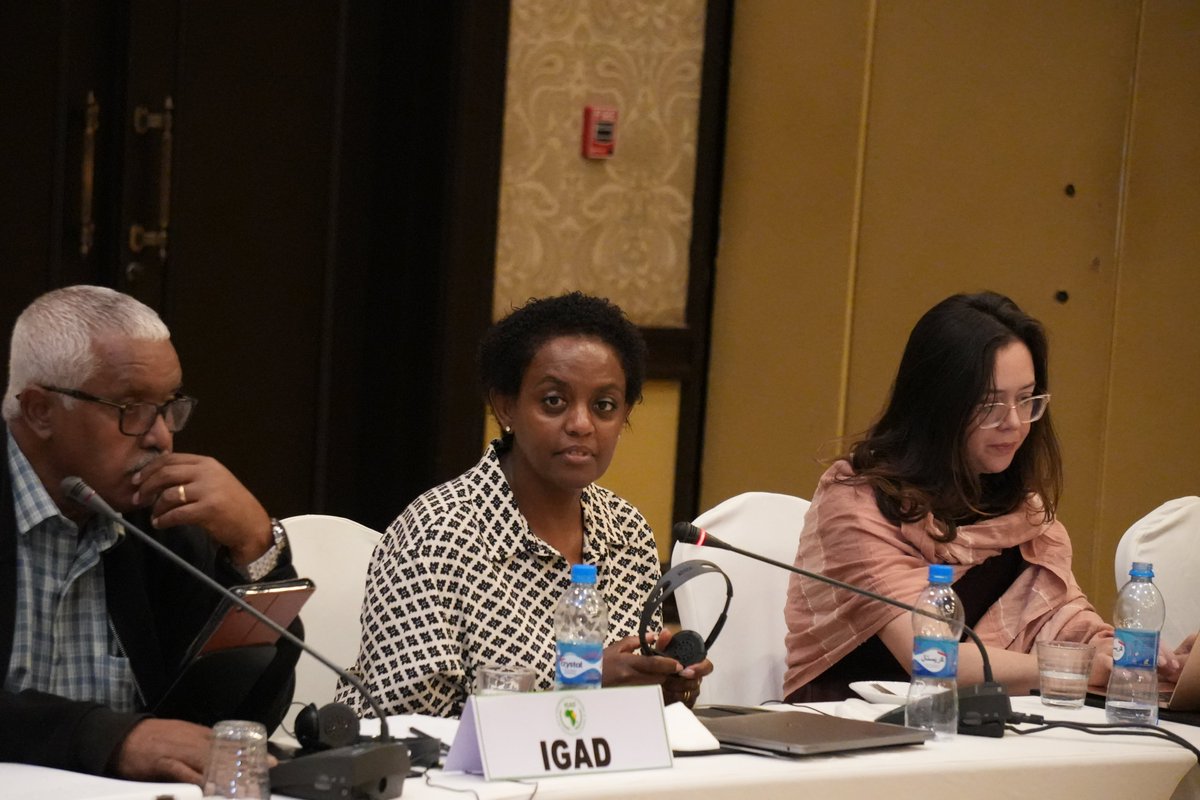 IGAD Health & Social Development Division tweet media