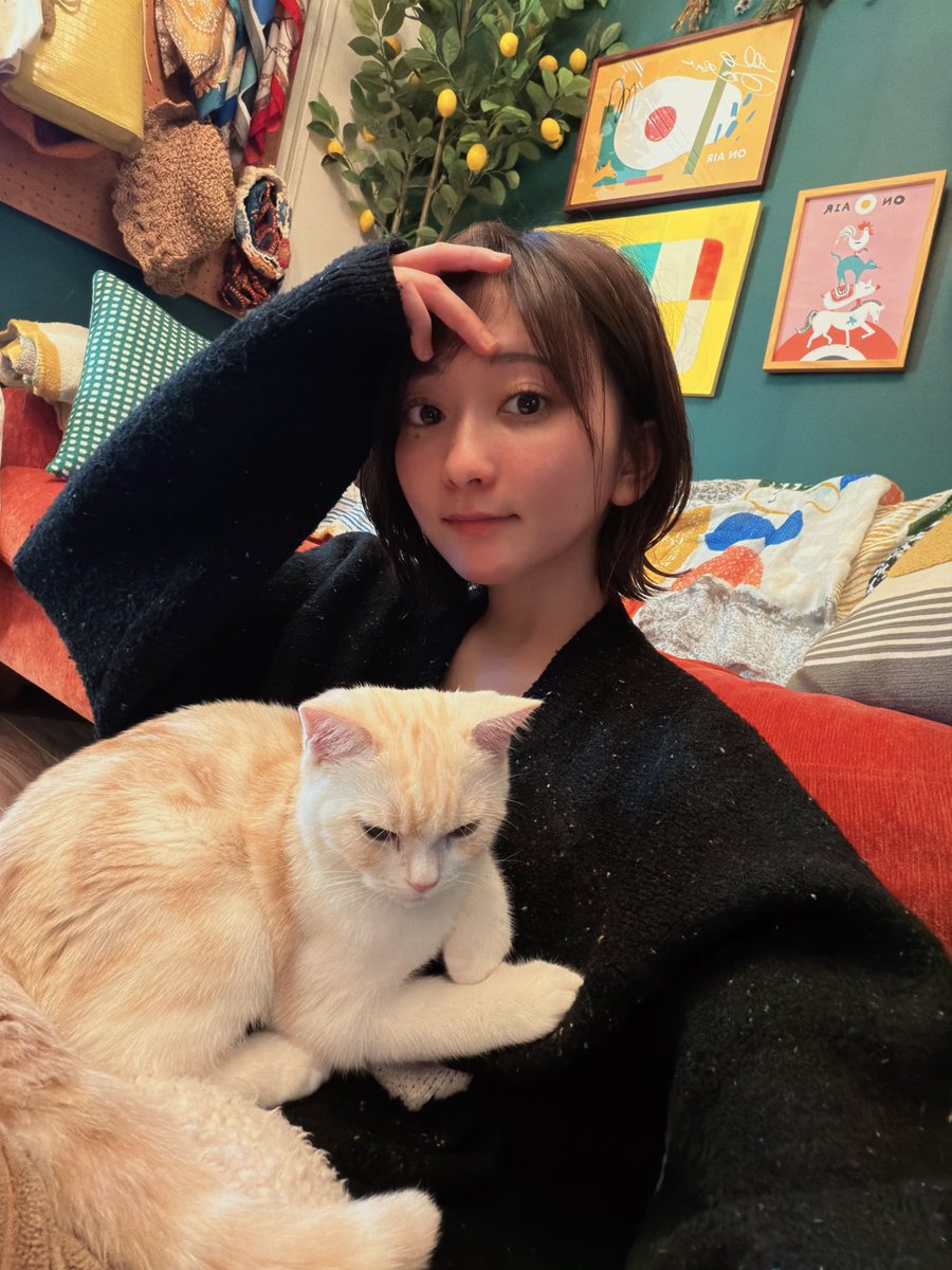 こぴ (@kopichan_) / Posts / X