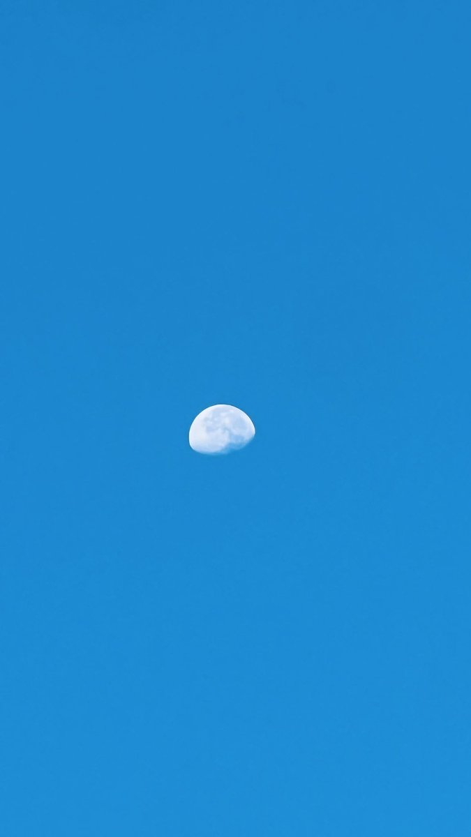 The moon this morning 🥹🥹❤️