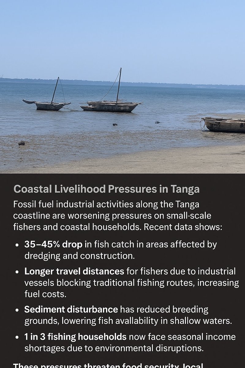 When the Boats Stop Moving, So Does the Truth

The ocean is telling the story: declining fish stocks, polluted waters, and disrupted tides. <a href="/TotalEnergies/">TotalEnergies</a>, your pipeline is deepening the crisis.
#StopEACOP. Protect livelihoods. #ClimateJusticeNow