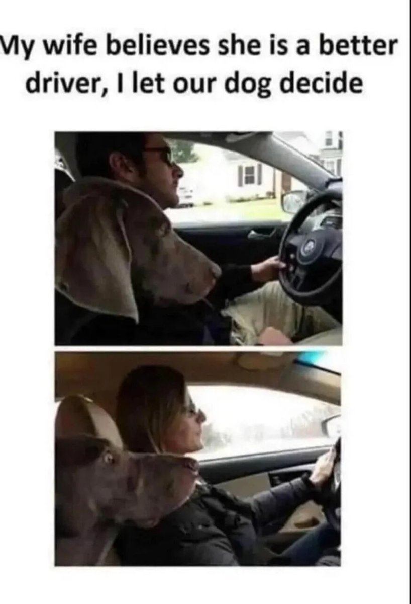 WholesomeMemes (@wholesomememe) on Twitter photo 