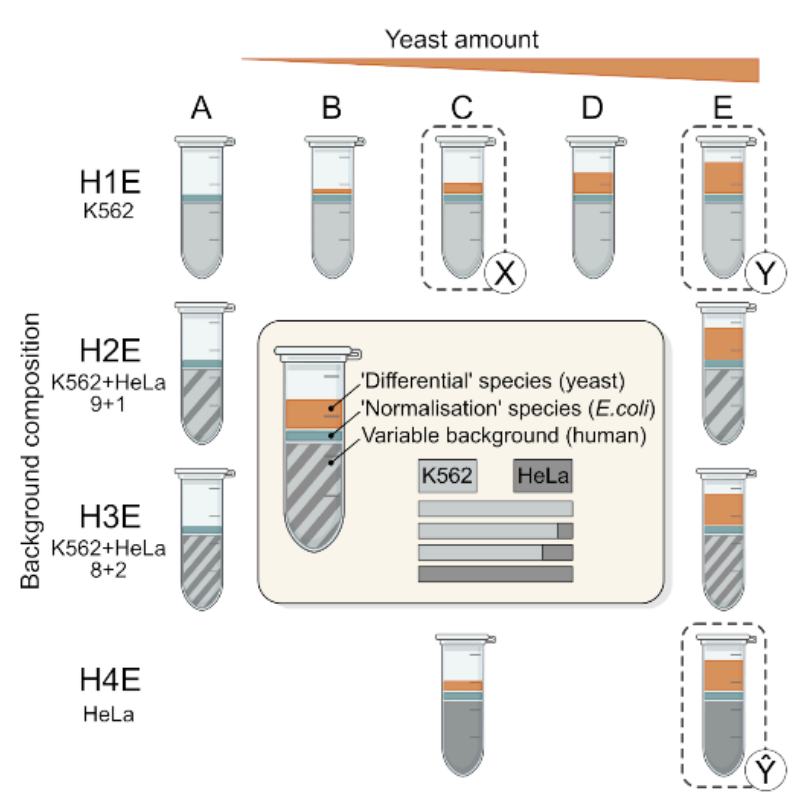 Vadim Demichev tweet media