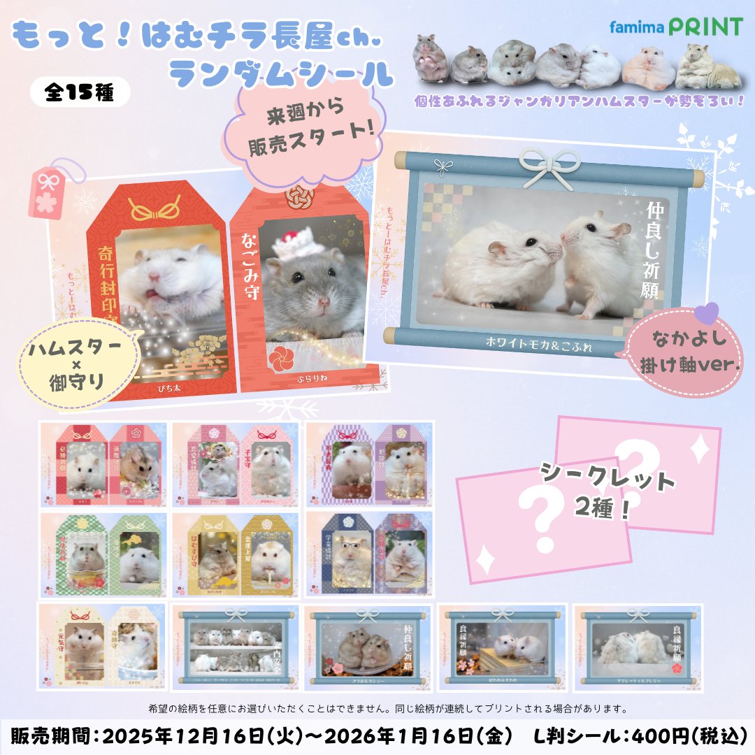 はむ@もっと！はむチラ長屋ch. (@86star2020) / Posts / X