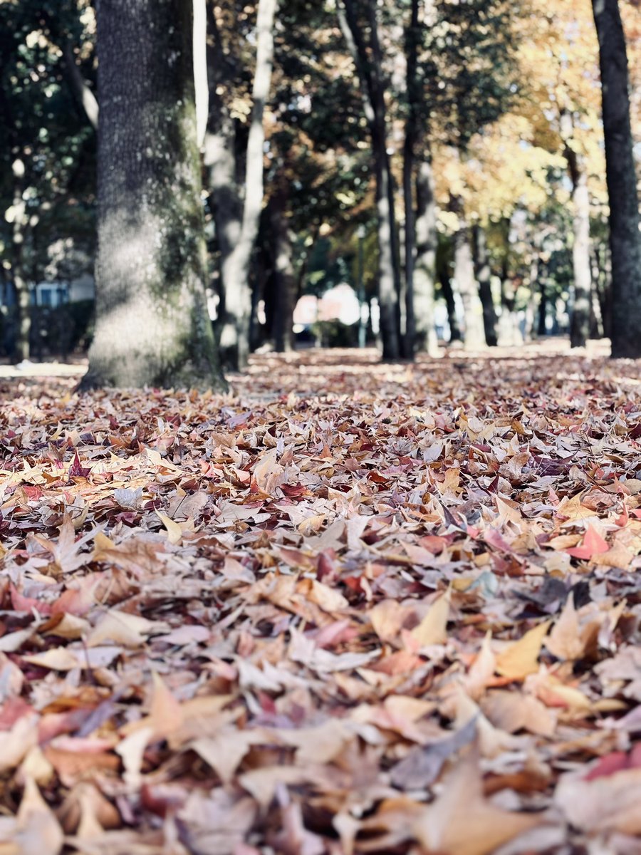 MARNI（Daydream / 阿羅漢） (@primal_ug) on Twitter photo 