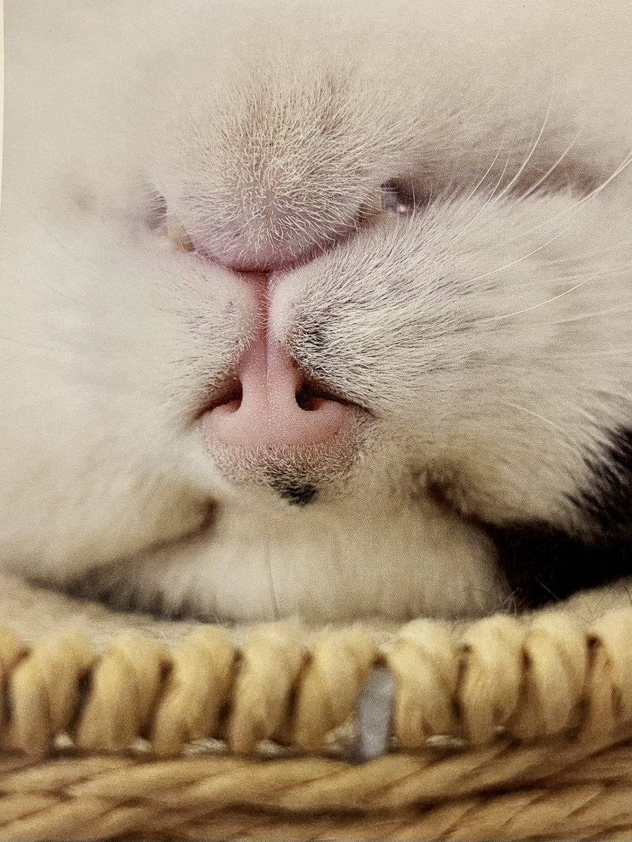 株式会社日章 (@nissho_1974) / Posts / X