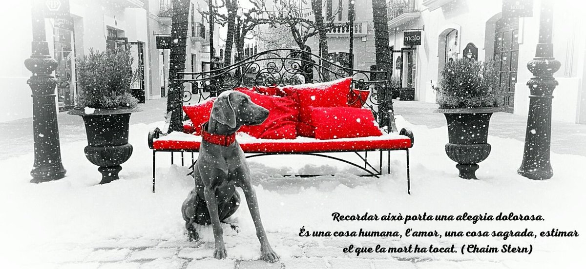 Berto Bandi tweet media