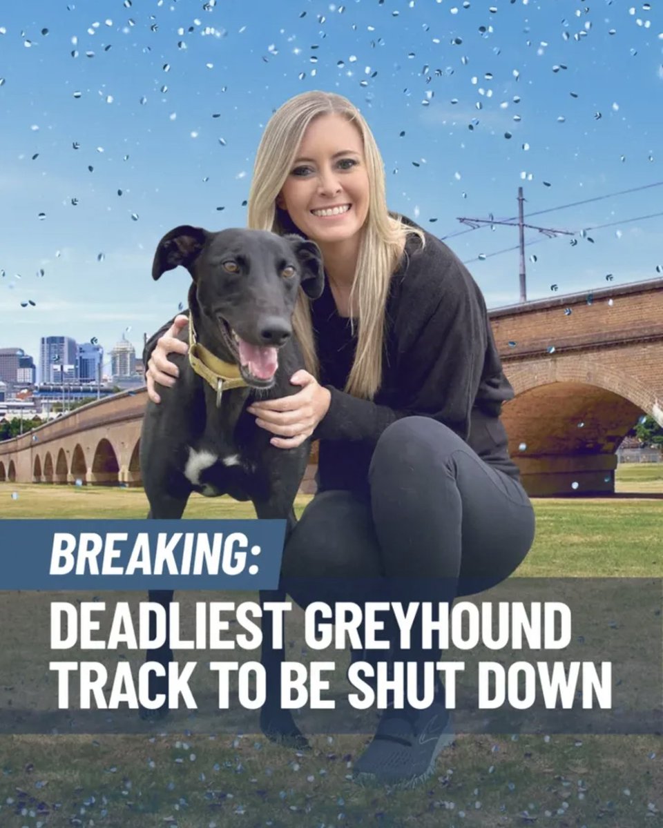 animaljusticeAU's tweet image. WE DID IT! 🥳

Australia's most deadly greyhound racing track WENTWORTH PARK set to close.

A huge achievement for the Animal Justice Party as we fight in parliament to end the barbaric bloodsport of greyhound racing.

Emma Hurt MP: "Wentworth Park will be closed down and used