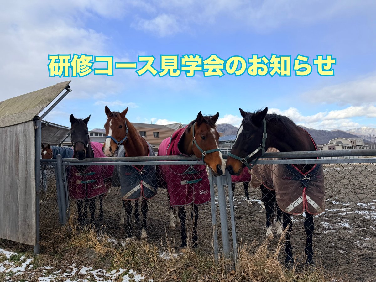 BTC研修】軽種馬育成調教センター (@BTC_urakawa) / Posts / X