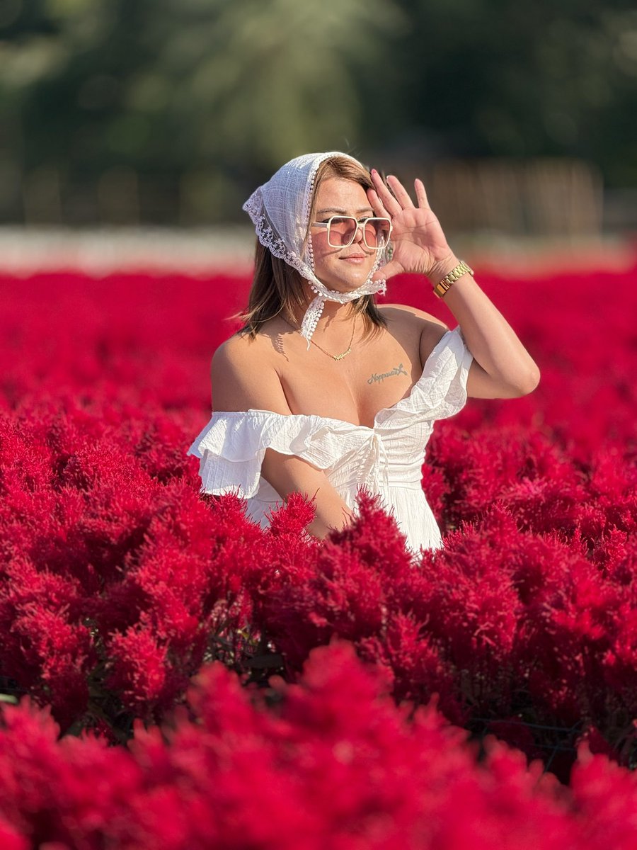 Wampire_Angel tweet media