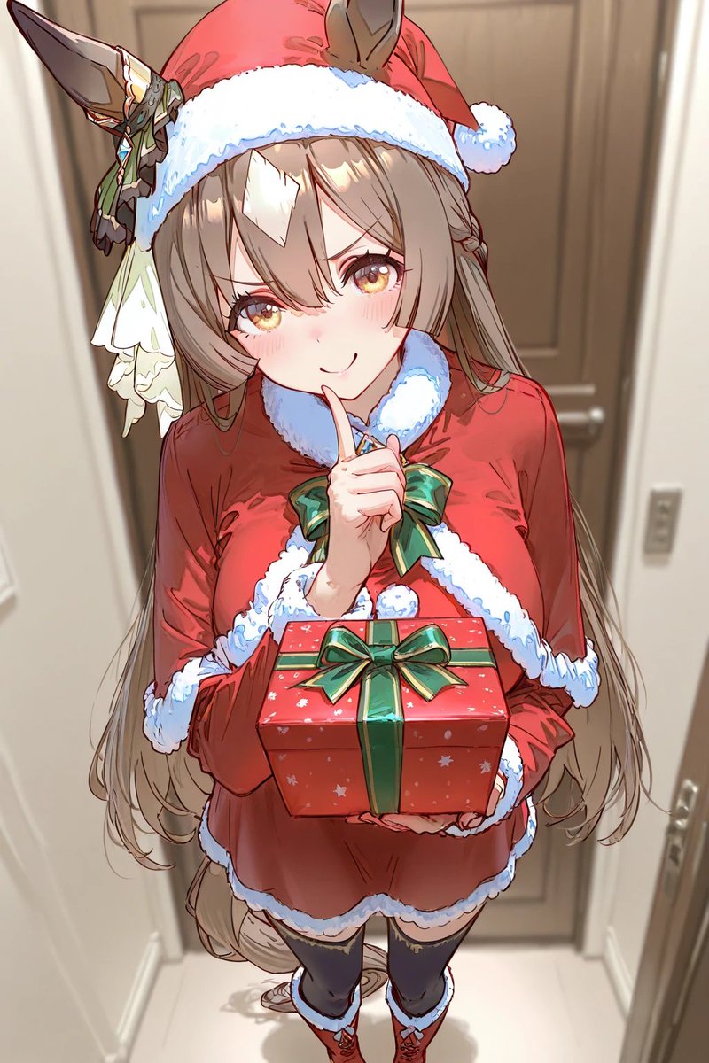 少し早いですけどサンタなダイヤちゃんです こっそりプレゼントを置き