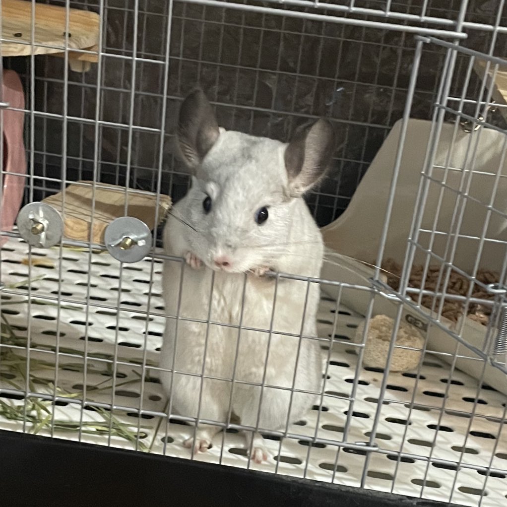 今日はやれる事があんまり無いので机片付けたり名古屋に行く荷造りなどする予定