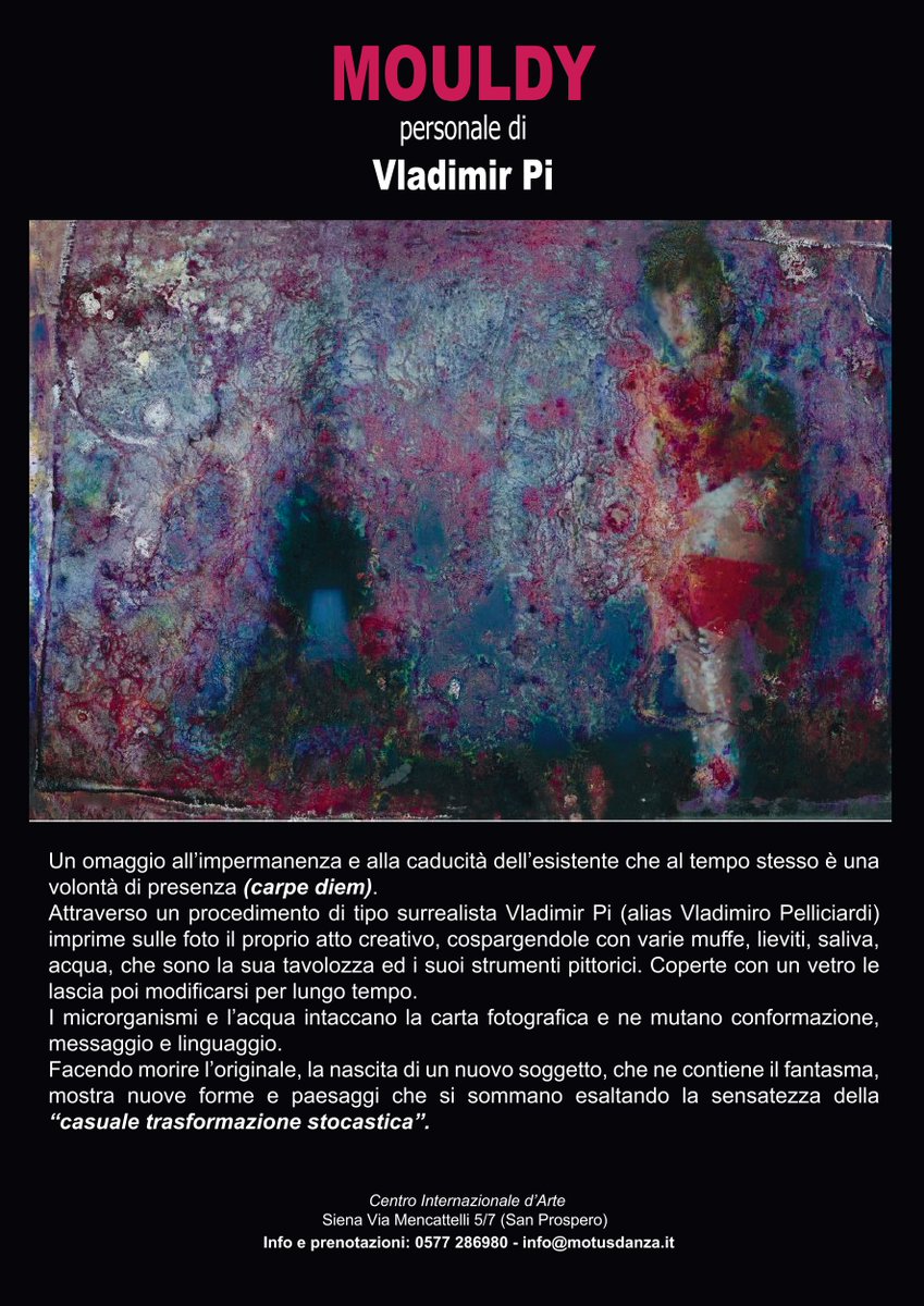 MOTUS compagnia tweet media
