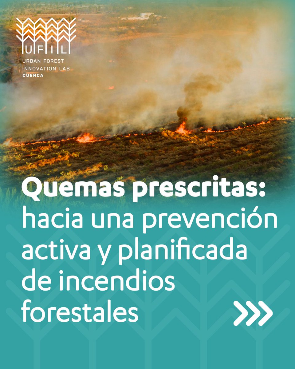 El pasado 27 de noviembre se celebró en UFIL la jornada formativa “Quemas prescritas por empresas privadas. Casos de éxito en Cataluña”.

El encuentro puso sobre la mesa una pregunta clave:¿Puede Castilla-La Mancha incorporar esta técnica?👇
ufilcuenca.es/blog/index.php…