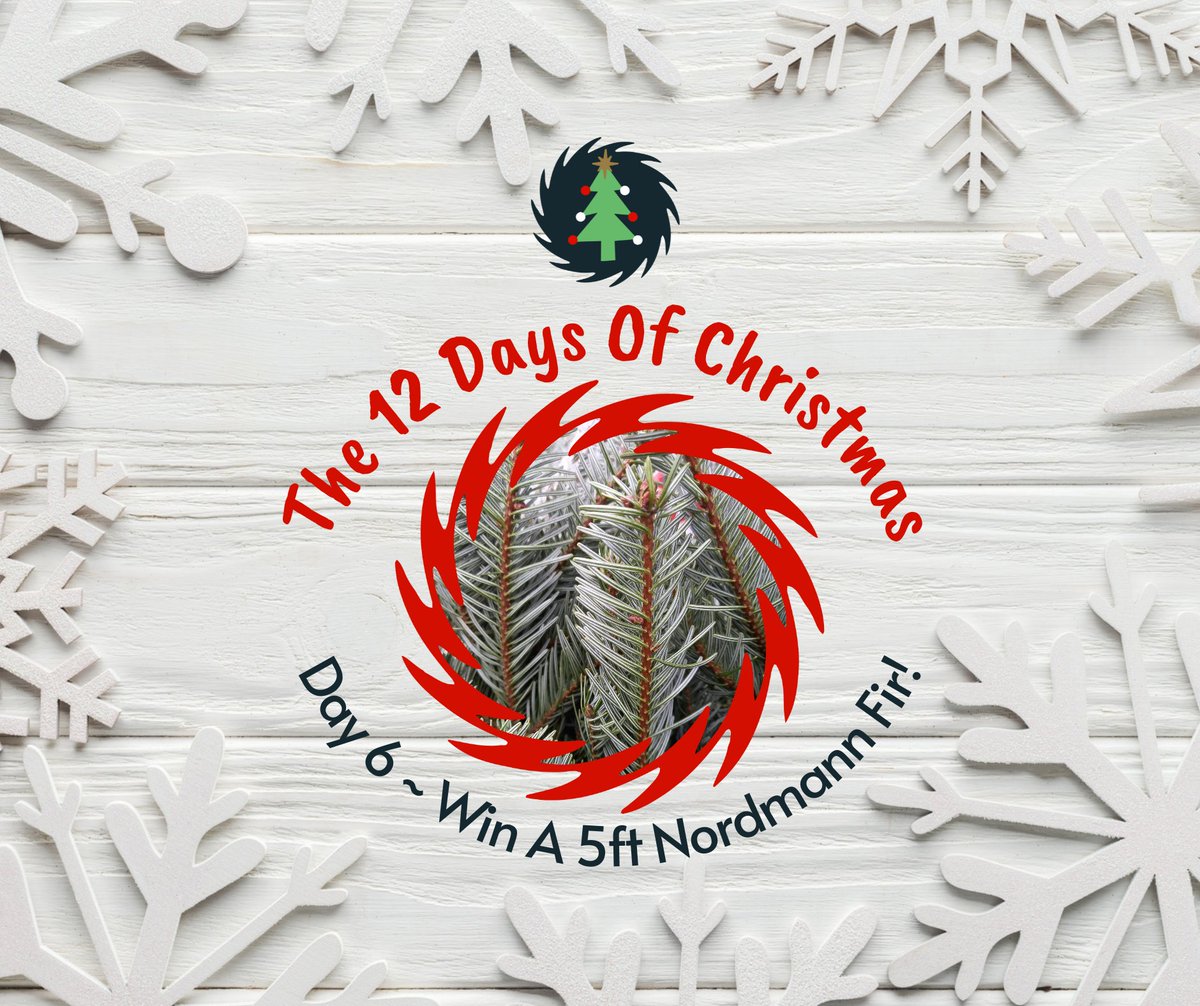 firtreetimber's tweet photo. We are offering a 5ft Nordmann Fir to one lucky winner. Head over to our Facebook Page! https://t.co/50ETt25Kj9