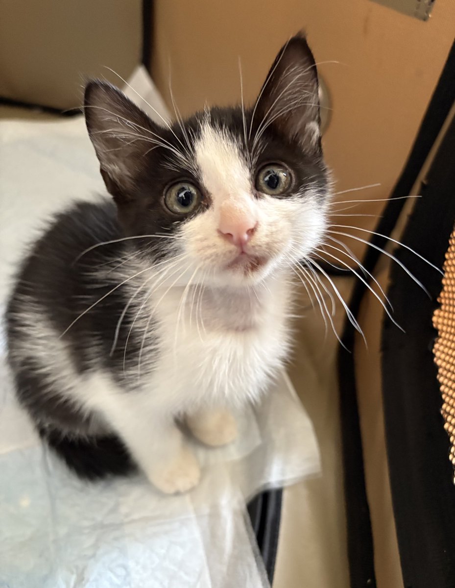 ハルちゃんちのママ (@zbsJUMqxrLzXEM8) / Posts / X