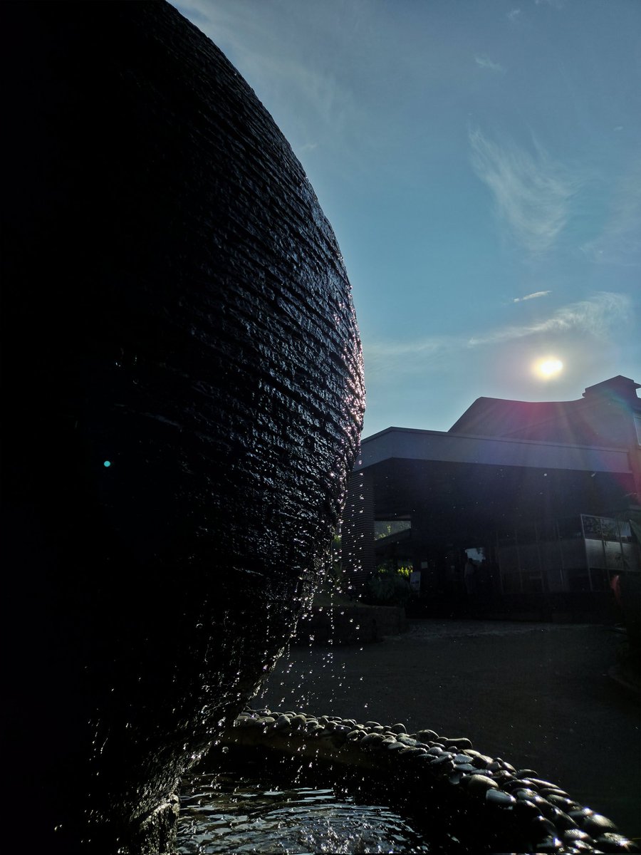 A 🇮🇳 tweet media