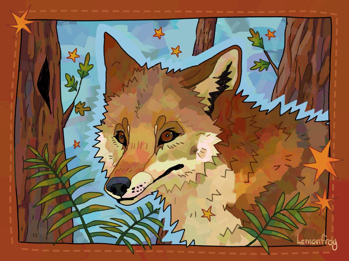 LemonFox7's tweet photo. Red Wolf (Canis rufus) is widely considered the most endangered wolf species In the world. #redwolf https://t.co/cZKdR3losF