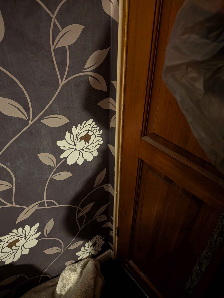 Squidacted's tweet image. got called out by shadow today. thats my ass