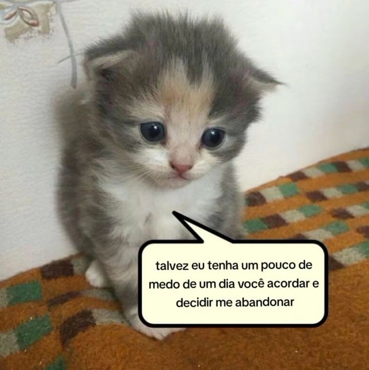 odeiootaco's tweet photo. https://t.co/8030GY0xyO