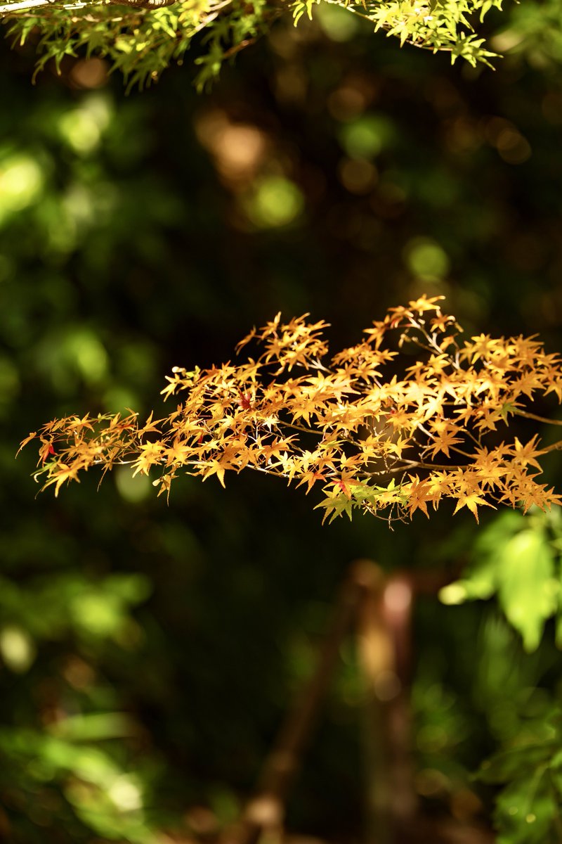 カズ (@KAZU081357071) / Posts / X