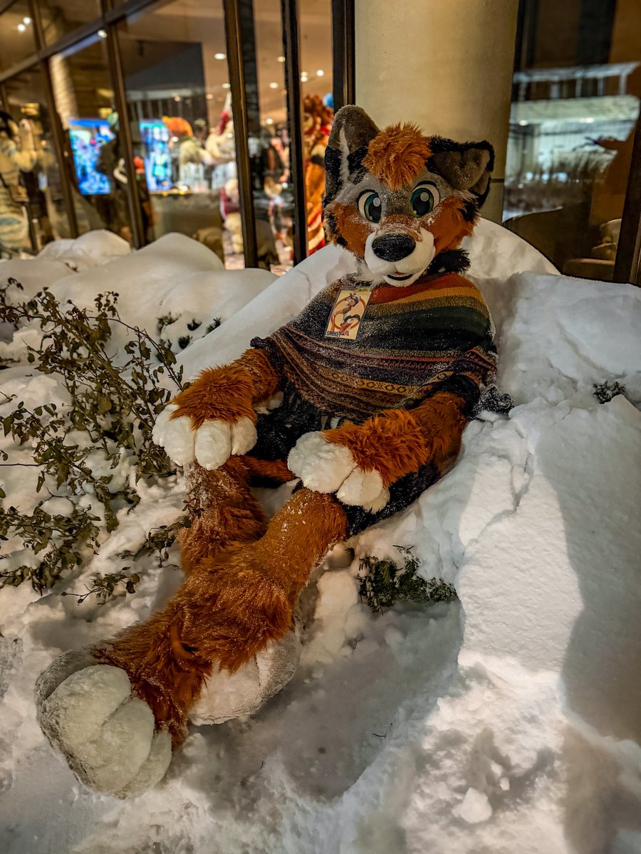 This is by far my favorite <a href="/FurFest/">Midwest FurFest</a>. Such an amazing time. 

MFF was my very first con back in 2017 and it felt so magical and refreshing! 
What a time to be a dog :3 🐕 

📸 <a href="/panda_paco/">PacoPanda</a>