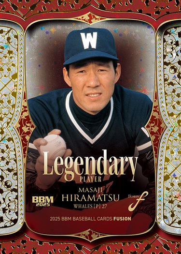 【当時物】横浜　大洋　ホエールズ　ウインドブレーカー　LL