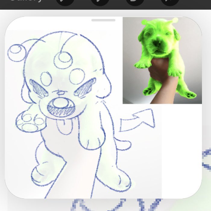 How to hold the gnarp