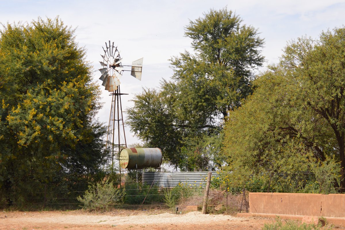 KameelHuise's tweet photo. Goeie môre X-villers
Op Kameel sê ons: as jy nie weet waar die wind is nie, luister na die windpompe. Hulle vertel wanneer die wind draai.
'n Windpomp is ’n masjien nie; dis ’n buurman.
Deel van ons herinneringe.
#windpomp #kameelstoepstories #kameelZA #Noordwes https://t.co/hteU1tdbkw