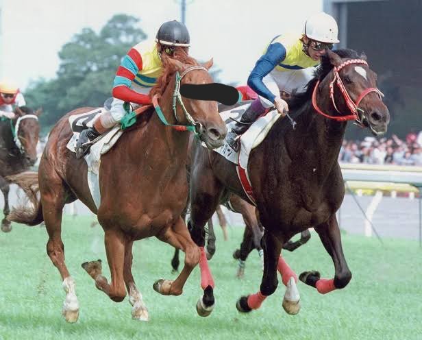 Seraph (@crimson_over) on Twitter photo 