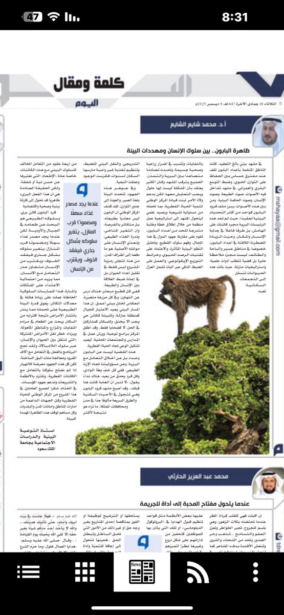 محمد عبدالرحمن الشعوان tweet media