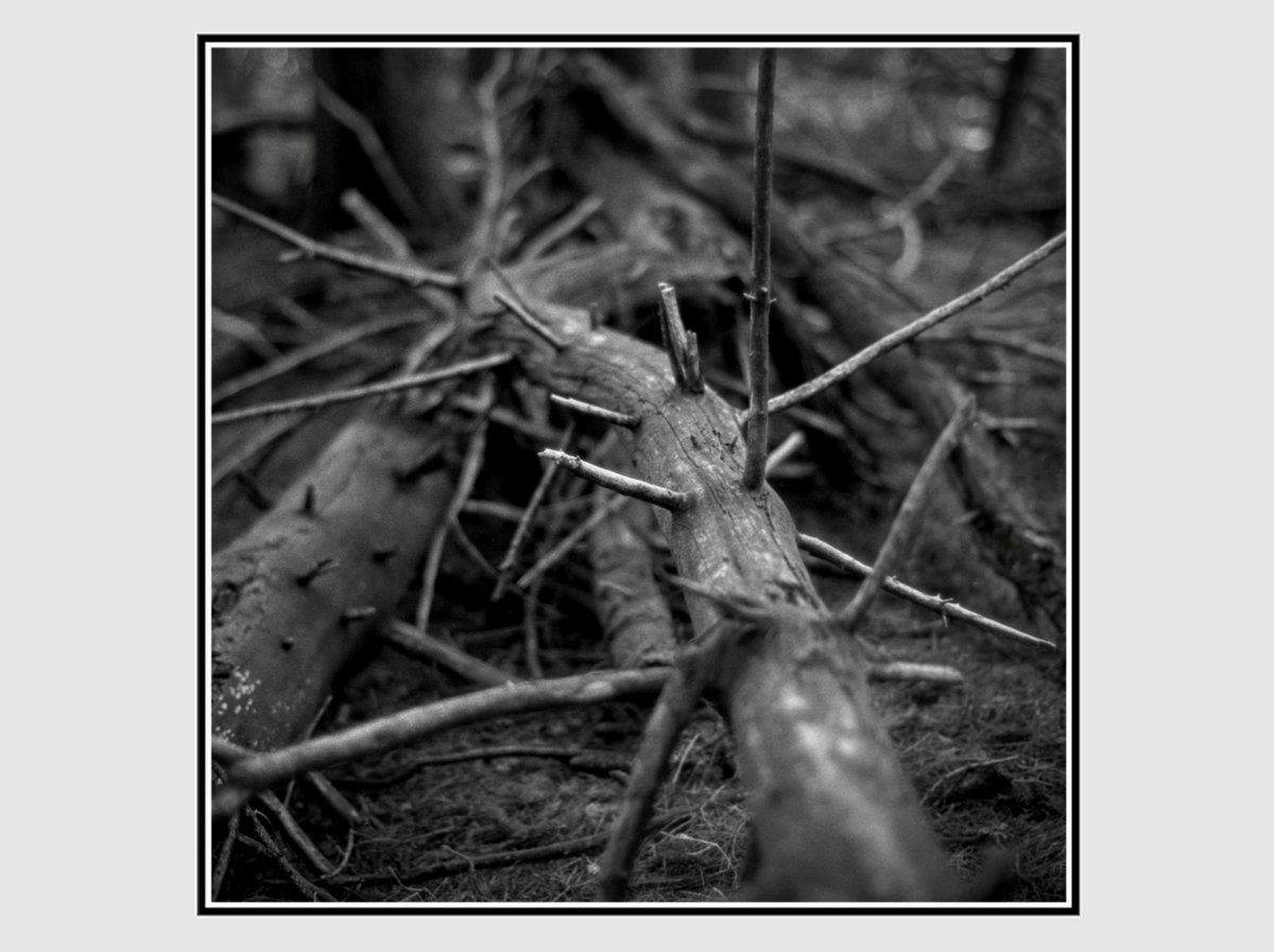 _va__va__voom_'s tweet photo. ___Harmless stuff___
+ Perspective Syndrome Series +
.
#filmphotography 📷pentax ME 🎞Fomapan 100
Home made film development with #caffenol
.
#pentaxme #foma #fomapan100 #35mmfilmphotography https://t.co/UpISkYYO0Y