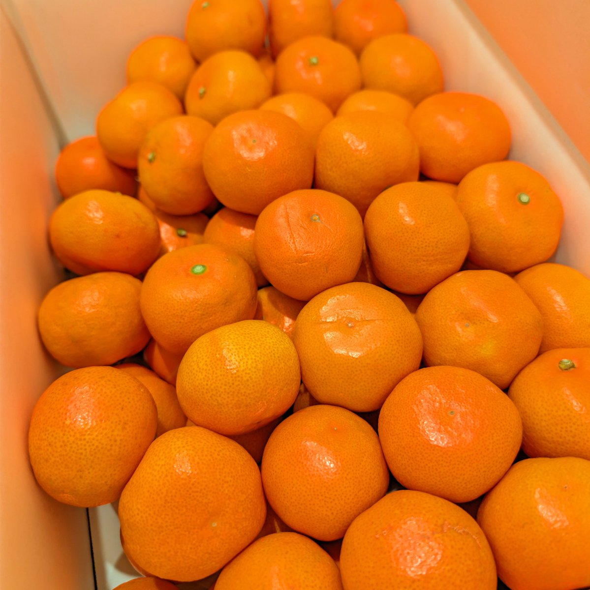 ビタミンC入りの愛が届いた。