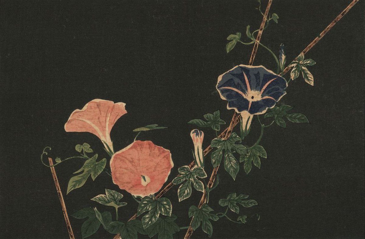 arma (@sovietsoleri) on Twitter photo 