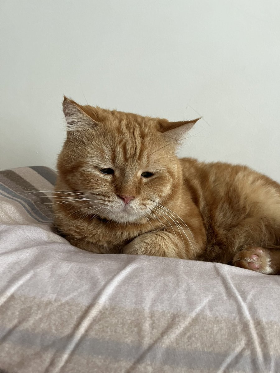 sakit bgt naksir selingkuhan orang

yg bisa menggambarkan dan jadi obatku cuma si kedung 😔💔 <a href="/ceritadungimut/">Adung & Imut 🐈</a>