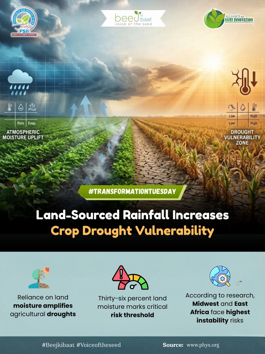 FSII_India's tweet image. Rainwater origins strongly influence crop drought risk, highlighting the need to protect upwind forests and strengthen soil moisture management to safeguard global agricultural resilience and food security.

#Agro #Farmer #TransformationTuesday #BeejKiBaat #VoiceOfTheSeed #FSII