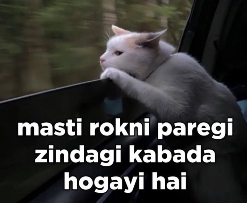 RRK_coder's tweet image. 😔