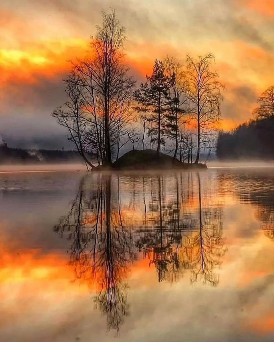 The sound of silence …