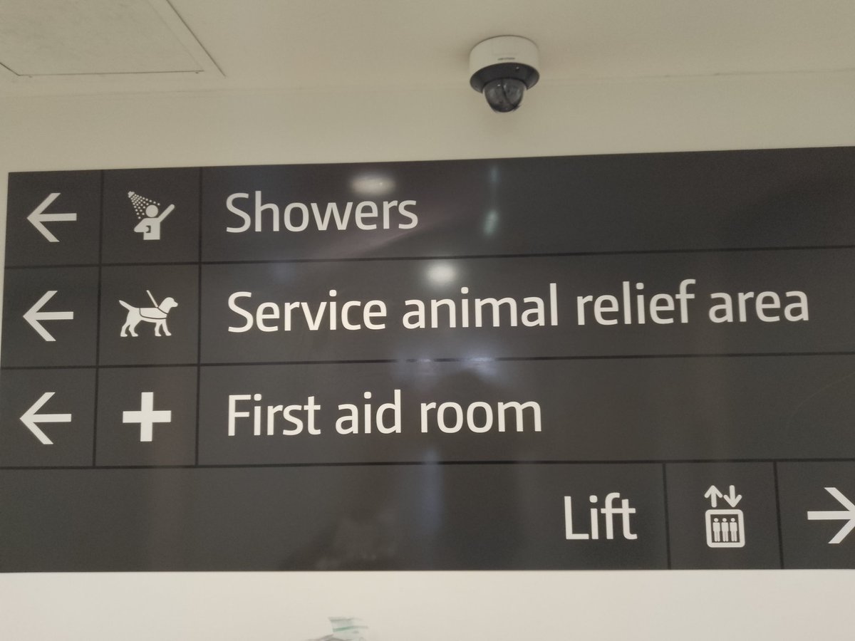 DogBrainedBator tweet media