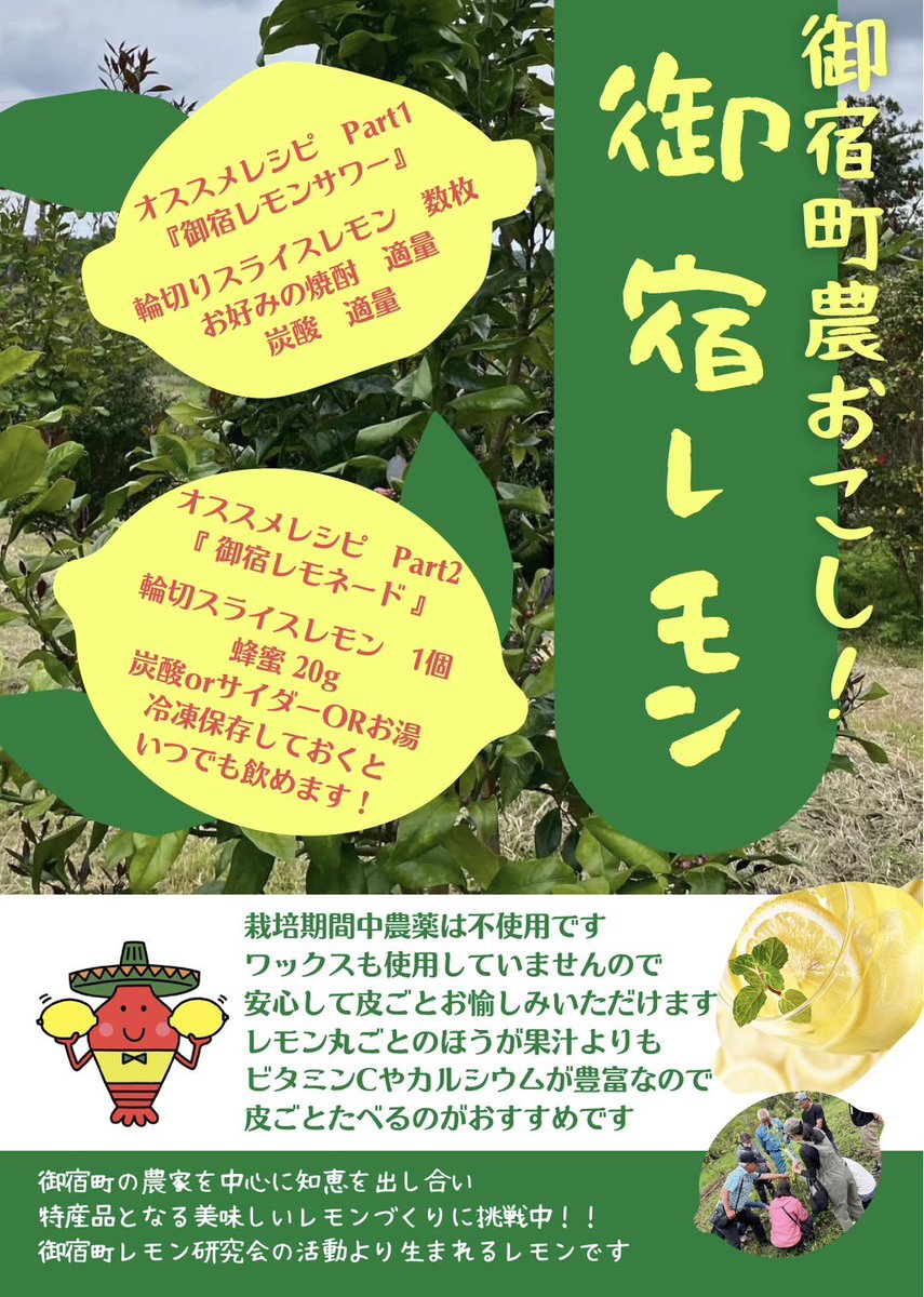 taitoya_onjuku's tweet photo. 🫧御宿産レモンサワーの飲めるお店🫧

◯ダイニングバーZERO 
◯源
◯たなか寿司 
◯つきじ 

町内でレモンを作り始めて5年、今年は1万個近く収穫できるようです🍋

酸味は少なめで、スッキリと美味しく飲めます✨

年明けもレモンは収穫できますので、まだまだレモンサワーの飲めるお店を募集中です！ https://t.co/Ygoyl6gssJ