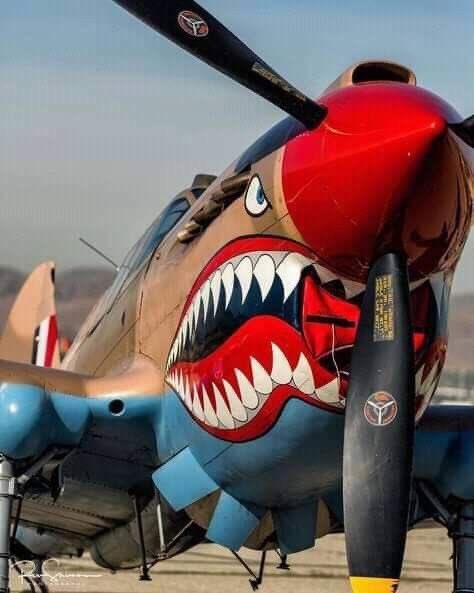 SYLVIA 🇫🇷 ♥️🇺🇦 (@sylvia70485099) on Twitter photo 