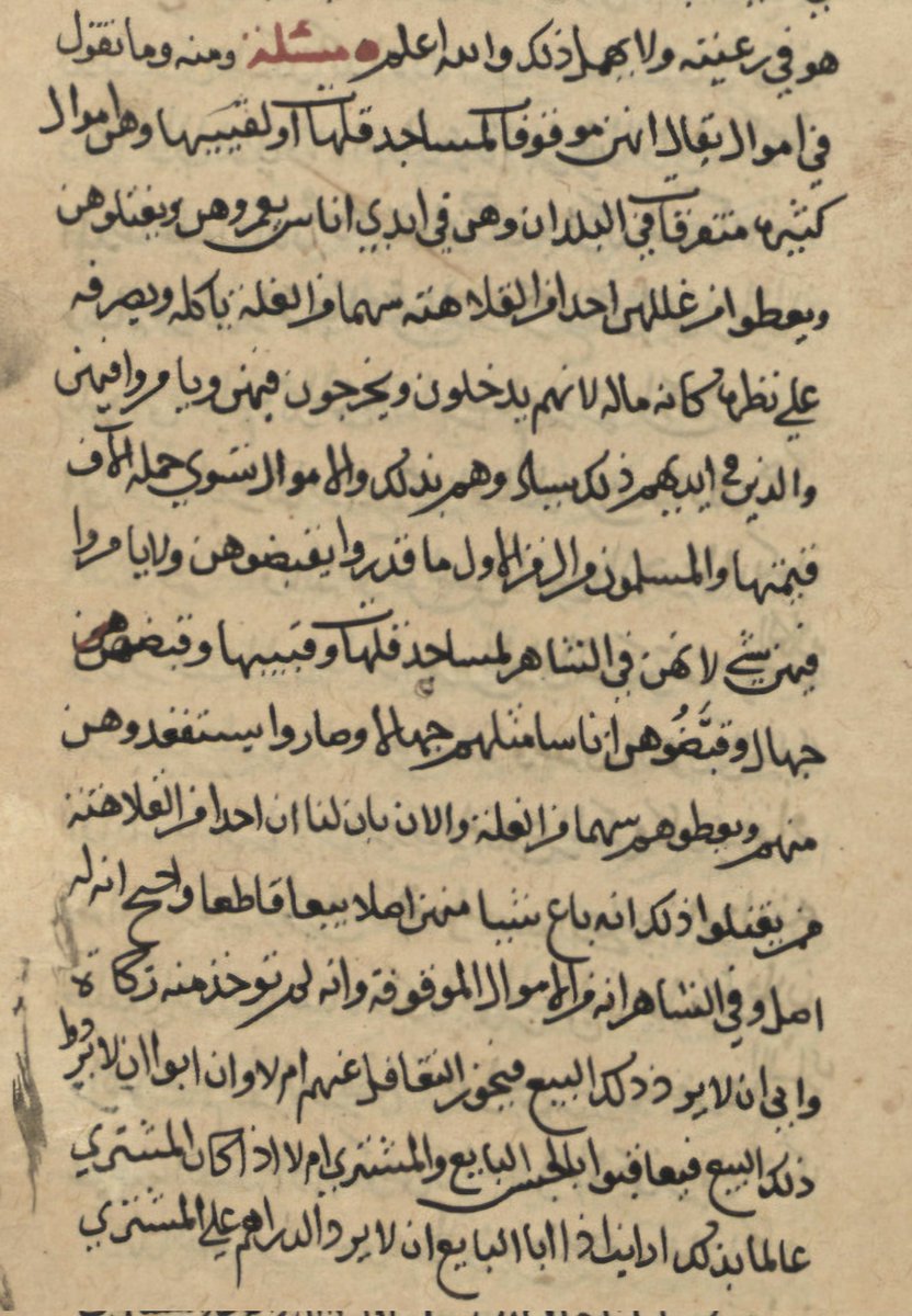 ناصر الإسماعيلي tweet media