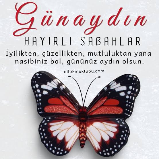 Günaydın mutlu huzurlu günler🦋🦋🦋