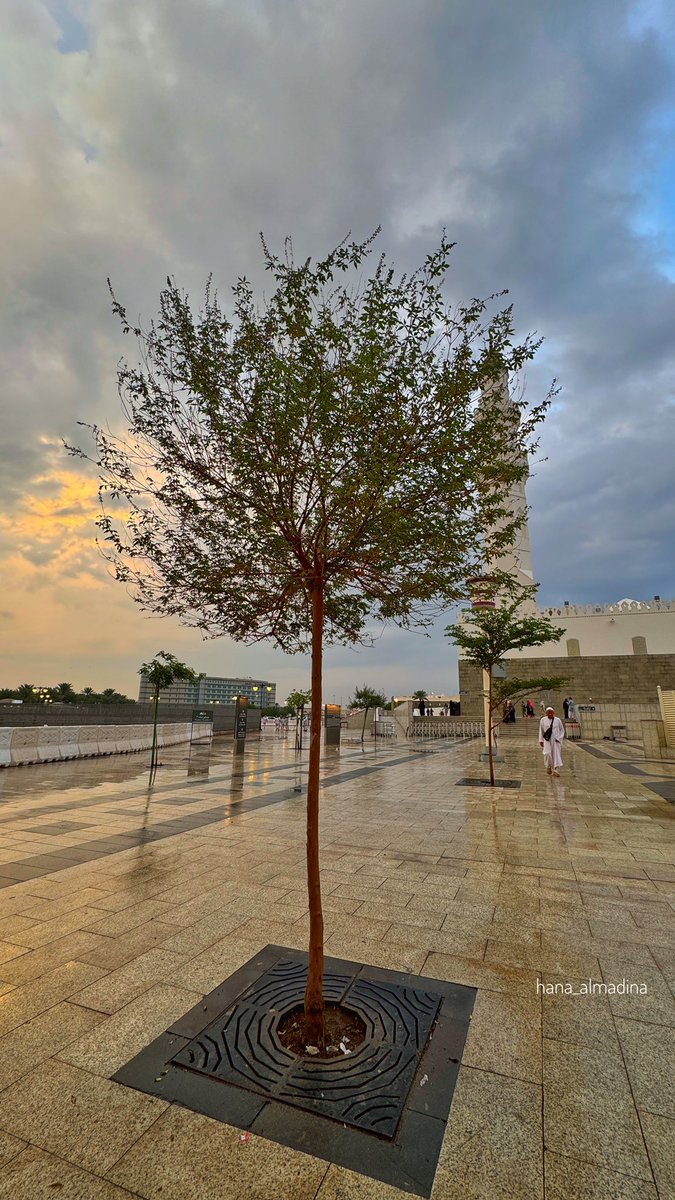 المدينة بعد المطر