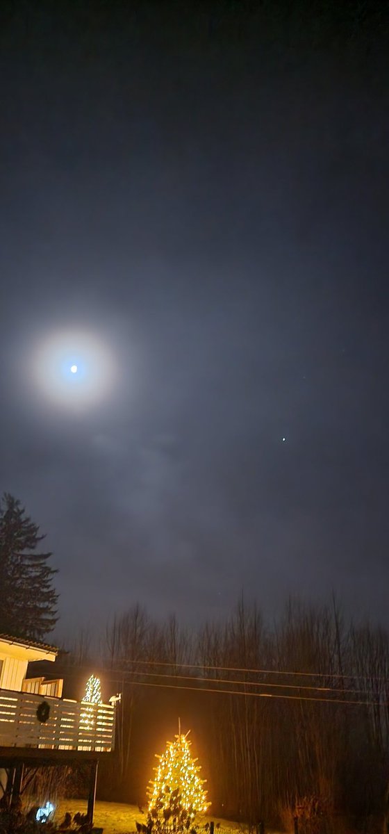 DetonatedStars's tweet image. Forever watched by stars.