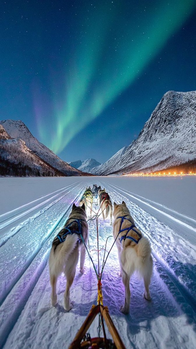 Finlandiya’da Kış ❄️